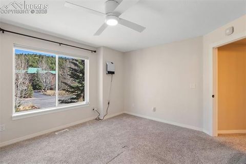 Tiny photo for 120 Red Clover Court, Woodland Park, CO 80863 (MLS # 1792318)