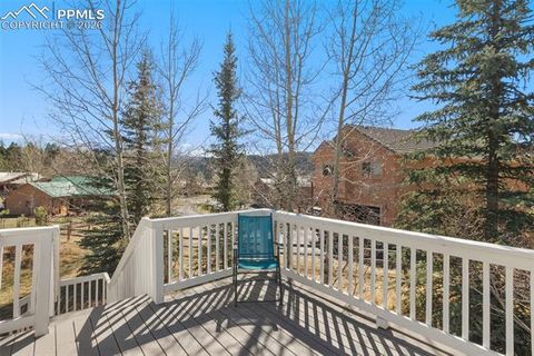 Tiny photo for 120 Red Clover Court, Woodland Park, CO 80863 (MLS # 1792318)
