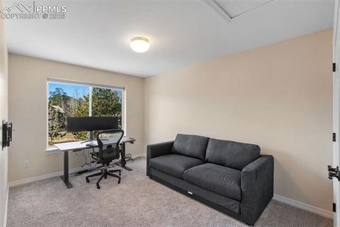 Tiny photo for 120 Red Clover Court, Woodland Park, CO 80863 (MLS # 1792318)