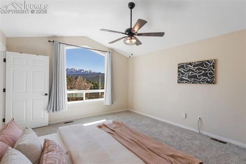 Tiny photo for 120 Red Clover Court, Woodland Park, CO 80863 (MLS # 1792318)
