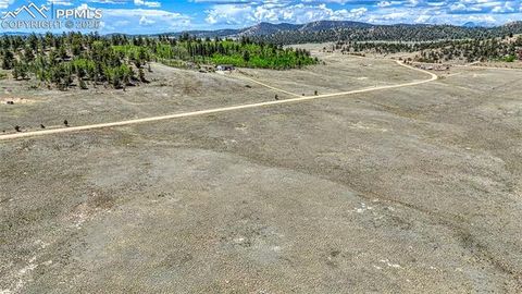 Photo of 4332 Goldenburg Canyon Road, Hartsel, CO 80449 (MLS # 8413221)