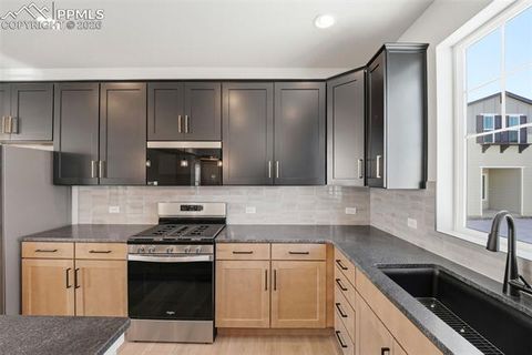 Tiny photo for 10245 Spry Street, Colorado Springs, CO 80924 (MLS # 8037854)