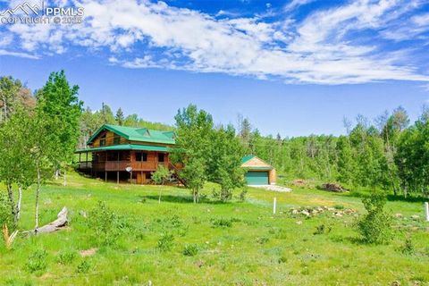 Tiny photo for 133 Vail Drive, Florissant, CO 80816 (MLS # 3164280)