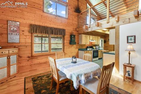 Tiny photo for 133 Vail Drive, Florissant, CO 80816 (MLS # 3164280)