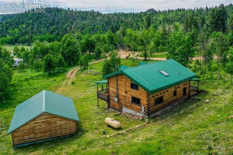 Tiny photo for 133 Vail Drive, Florissant, CO 80816 (MLS # 3164280)