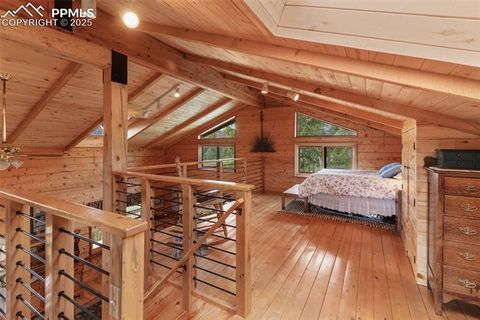 Tiny photo for 133 Vail Drive, Florissant, CO 80816 (MLS # 3164280)