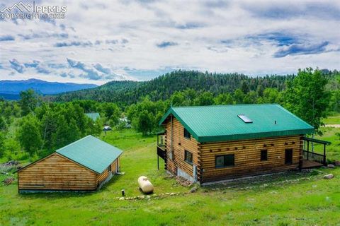 Tiny photo for 133 Vail Drive, Florissant, CO 80816 (MLS # 3164280)