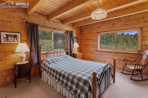 Tiny photo for 133 Vail Drive, Florissant, CO 80816 (MLS # 3164280)