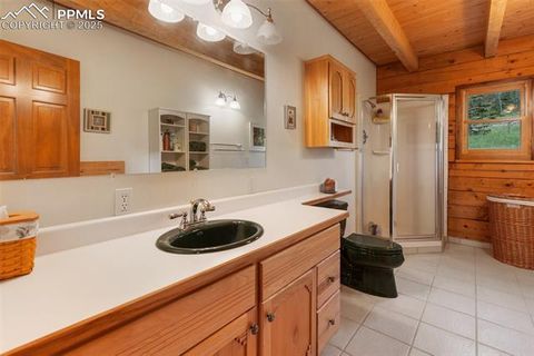 Tiny photo for 133 Vail Drive, Florissant, CO 80816 (MLS # 3164280)