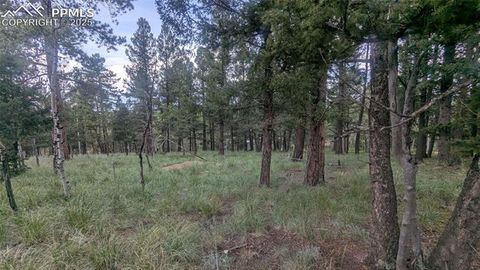 Photo of 924 Will Scarlet Drive, Divide, CO 80814 (MLS # 2421238)