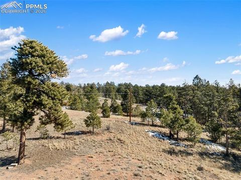 Photo of 530 Columbine Road, Florissant, CO 80816 (MLS # 8011430)
