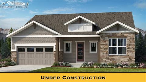 16366 Basset Mill Way Monument CO 80132