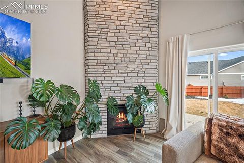 Tiny photo for 9791 Arbor Walk Lane, Peyton, CO 80831 (MLS # 5800878)