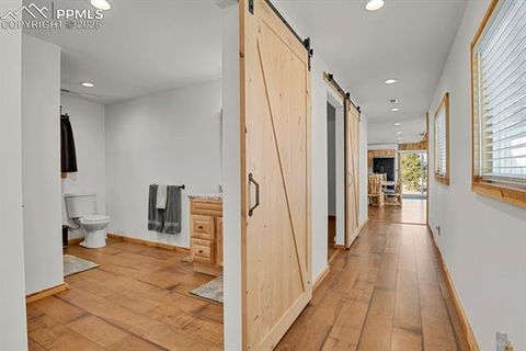 Tiny photo for 1053 Will Scarlet Drive, Divide, CO 80814 (MLS # 5121380)