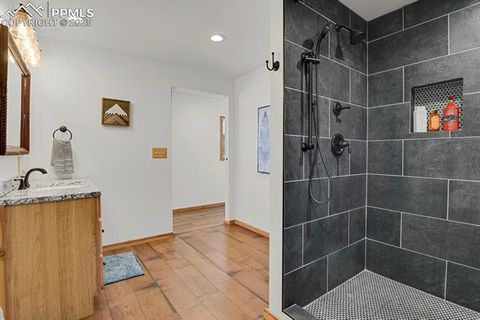 Tiny photo for 1053 Will Scarlet Drive, Divide, CO 80814 (MLS # 5121380)