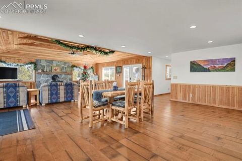 Tiny photo for 1053 Will Scarlet Drive, Divide, CO 80814 (MLS # 5121380)