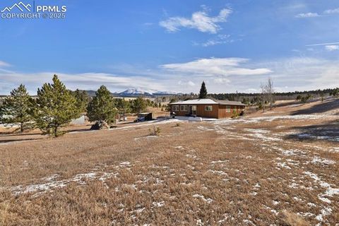 Tiny photo for 1053 Will Scarlet Drive, Divide, CO 80814 (MLS # 5121380)