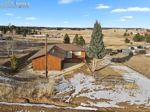 Tiny photo for 1053 Will Scarlet Drive, Divide, CO 80814 (MLS # 5121380)