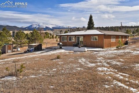 Tiny photo for 1053 Will Scarlet Drive, Divide, CO 80814 (MLS # 5121380)