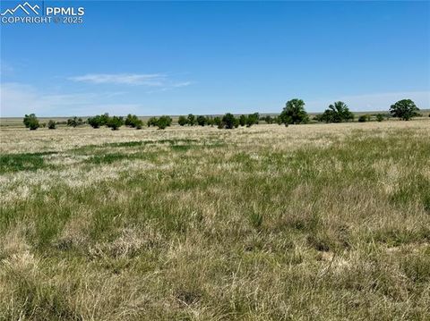 Photo of 1 S East Ellicott Road, Ellicott, CO 80808 (MLS # 2211887) Photo of 1 S East Ellicott Road, Ellicott, CO 80808 (MLS # 2211887)