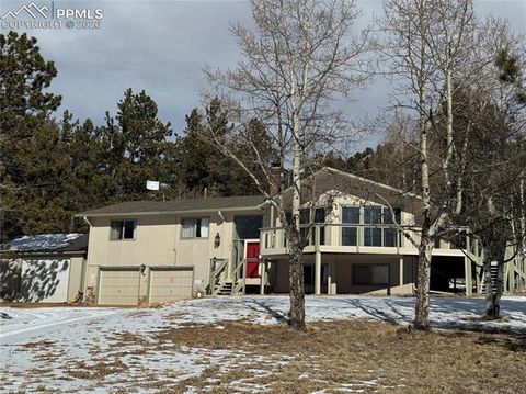 1874 Vagabond Creek Drive Lake George CO 80827