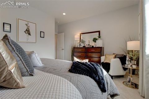 Tiny photo for 10606 Hudson Yard Drive, Colorado Springs, CO 80924 (MLS # 6643942)