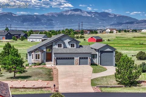 Photo of 11455 Dallas Road, Peyton, CO 80831 (MLS # 1928847)