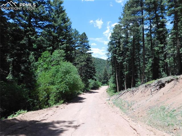 13371 Spruce Creek Circle