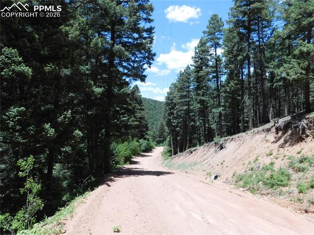 13371 Spruce Creek Circle