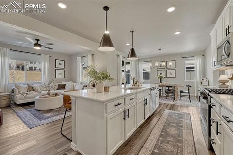 Tiny photo for 140 WILD GRASS Way, Colorado Springs, CO 80919 (MLS # 3890904)