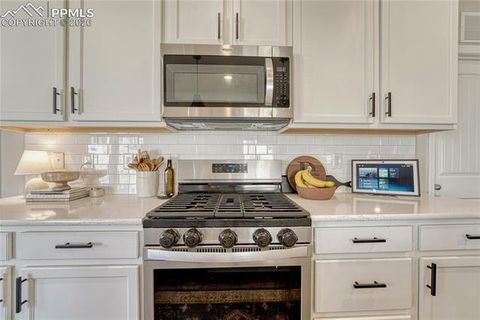 Tiny photo for 140 WILD GRASS Way, Colorado Springs, CO 80919 (MLS # 3890904)