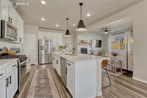 Tiny photo for 140 WILD GRASS Way, Colorado Springs, CO 80919 (MLS # 3890904)