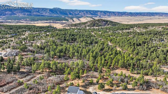 1802 Silverheels Drive