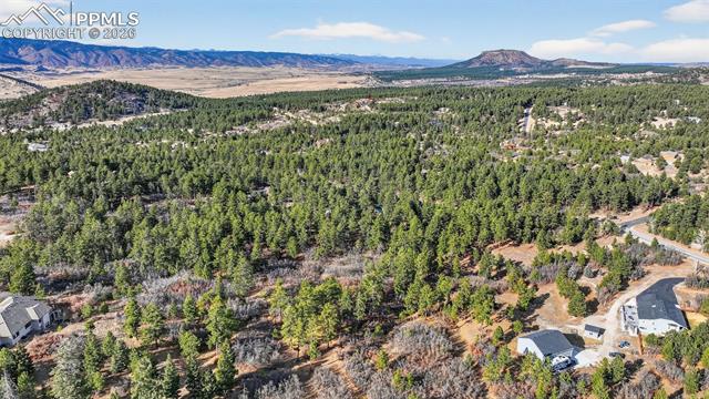 1802 Silverheels Drive