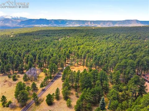 Photo of 15950 Roller Coaster Road, Colorado Springs, CO 80921 (MLS # 6242093)