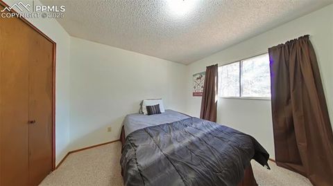 Tiny photo for 706 N Elm Street, Woodland Park, CO 80863 (MLS # 8843369)