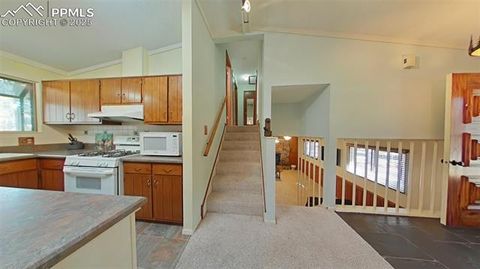 Tiny photo for 706 N Elm Street, Woodland Park, CO 80863 (MLS # 8843369)