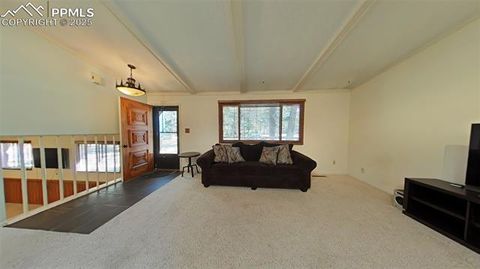 Tiny photo for 706 N Elm Street, Woodland Park, CO 80863 (MLS # 8843369)