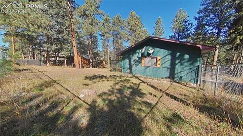 Tiny photo for 706 N Elm Street, Woodland Park, CO 80863 (MLS # 8843369)