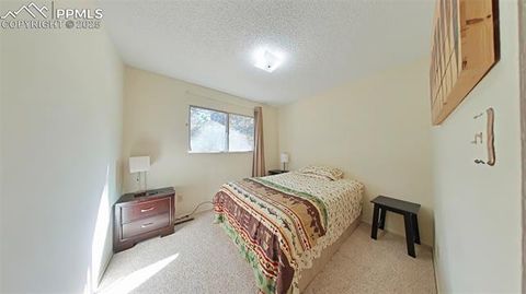 Tiny photo for 706 N Elm Street, Woodland Park, CO 80863 (MLS # 8843369)