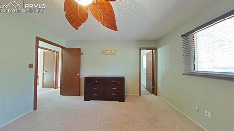 Tiny photo for 706 N Elm Street, Woodland Park, CO 80863 (MLS # 8843369)