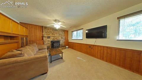 Tiny photo for 706 N Elm Street, Woodland Park, CO 80863 (MLS # 8843369)