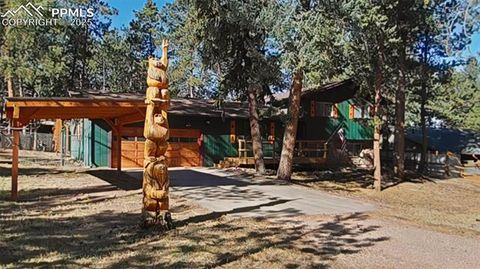 Tiny photo for 706 N Elm Street, Woodland Park, CO 80863 (MLS # 8843369)