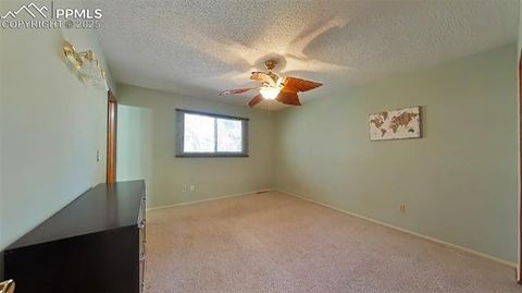 Tiny photo for 706 N Elm Street, Woodland Park, CO 80863 (MLS # 8843369)
