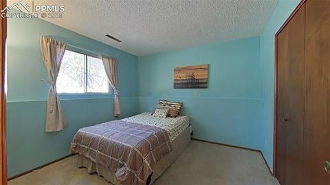 Tiny photo for 706 N Elm Street, Woodland Park, CO 80863 (MLS # 8843369)