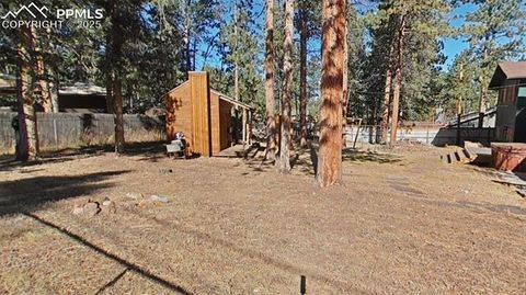 Tiny photo for 706 N Elm Street, Woodland Park, CO 80863 (MLS # 8843369)
