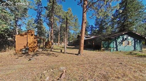 Tiny photo for 706 N Elm Street, Woodland Park, CO 80863 (MLS # 8843369)
