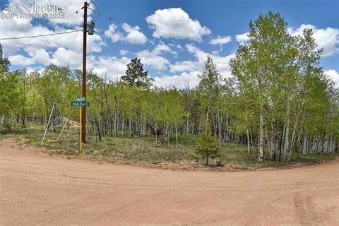 Photo of 55 Aspen Way Drive, Guffey, CO 80820 (MLS # 2642254)
