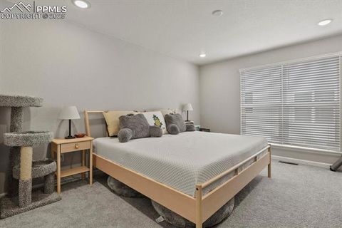 Tiny photo for 3439 Berg Point, Colorado Springs, CO 80907 (MLS # 5655030)