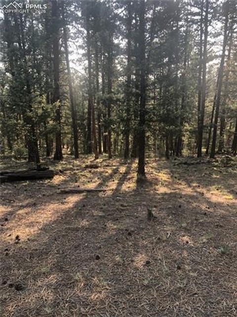 Photo of 469 Echo Lake Drive, Lake George, CO 80827 (MLS # 3022097)